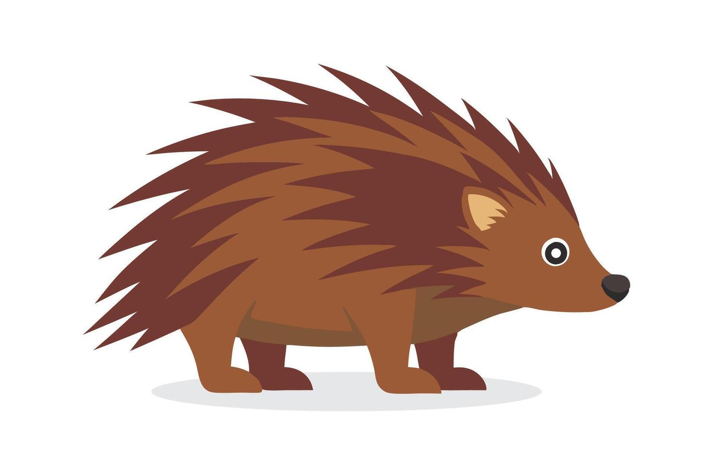 Porcupine animal isolated flat illustration on white background vector