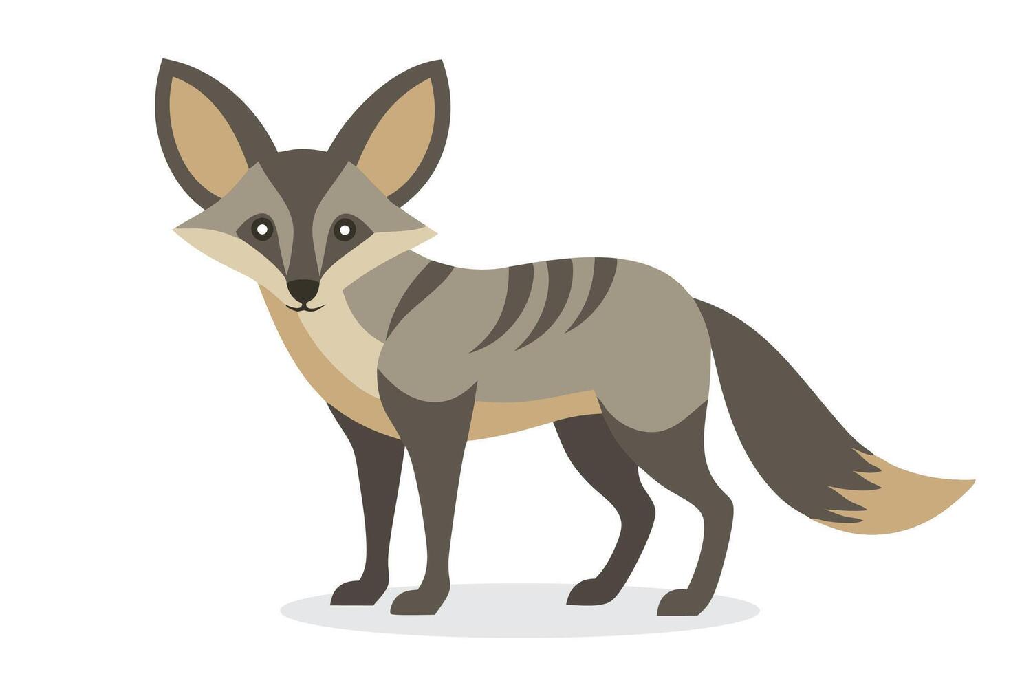 Bat Eared Fox animal flat isolated illustration on white background. vector