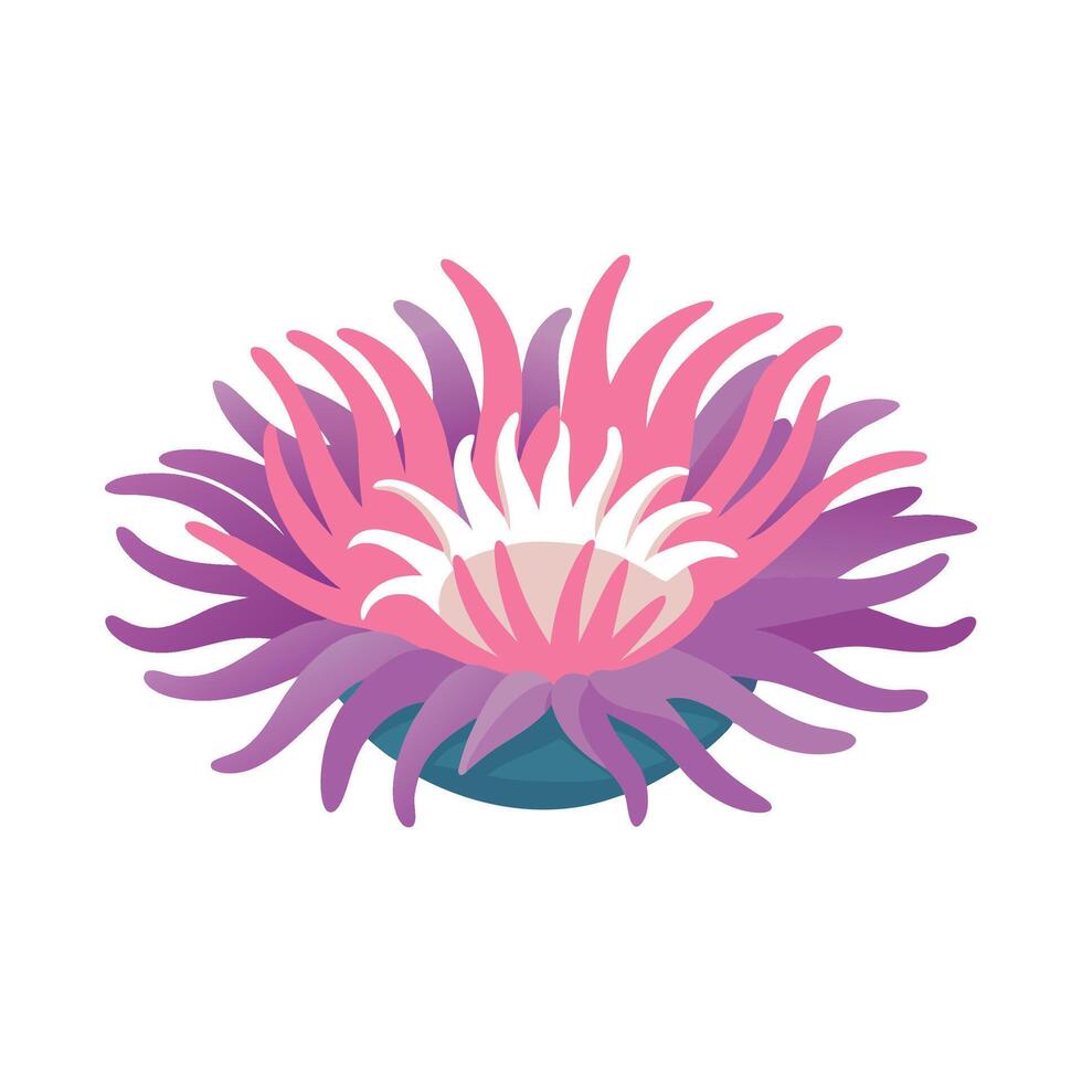 Giant Plumose Anemone under water animal flat illustration vector