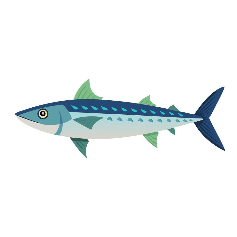 Atlantic Mackerel Under water animal flat illustration. vector