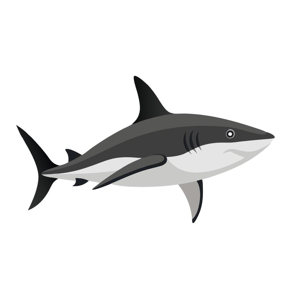Blacktip Shark Under water animal flat illustration vector