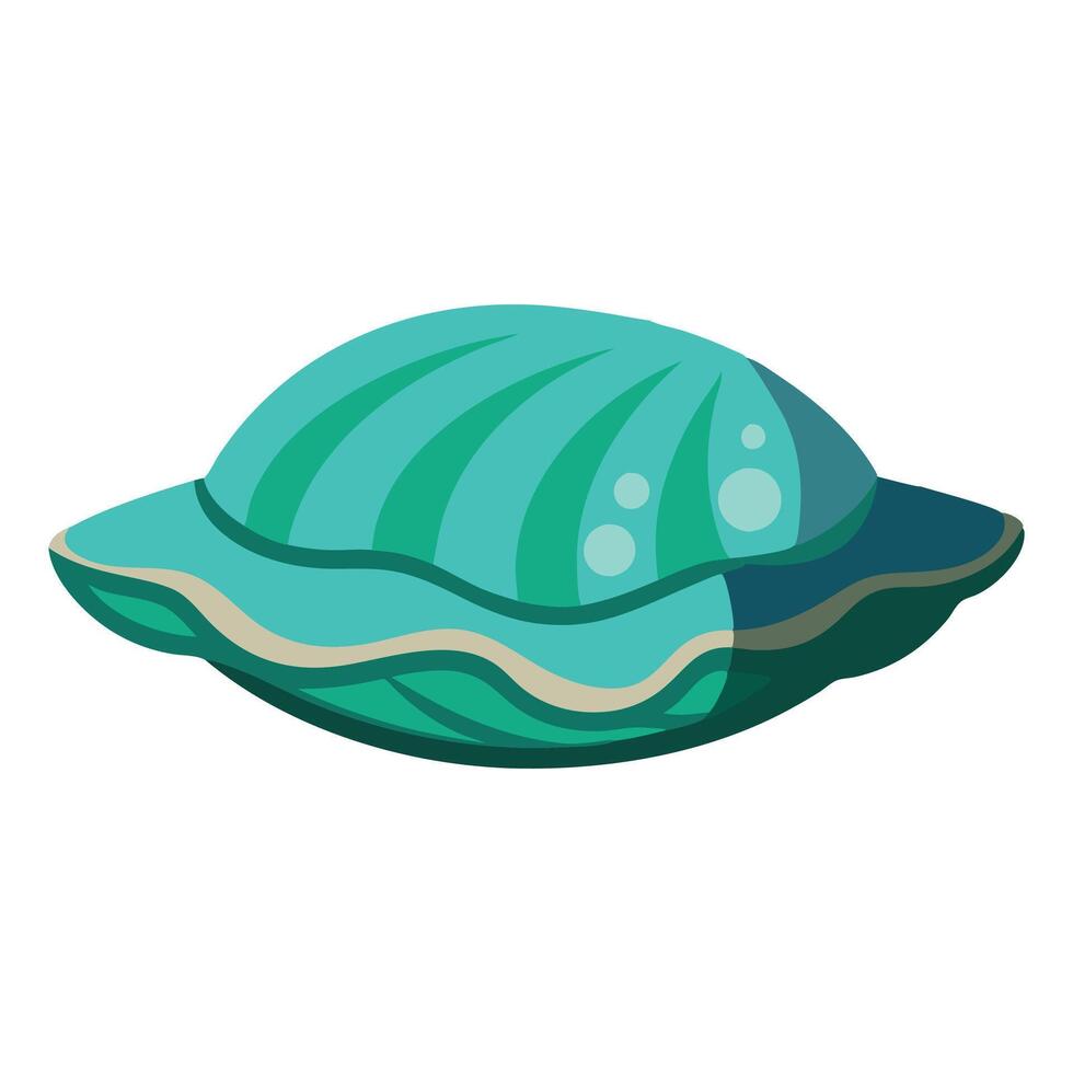 Abalone flat illustration on white background. vector
