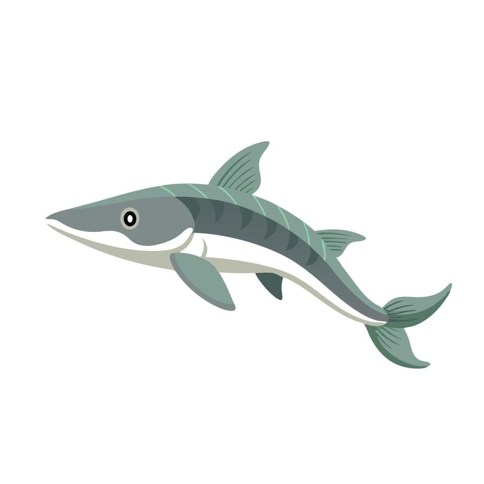 Beluga Sturgeon Under water animal flat illustration. vector