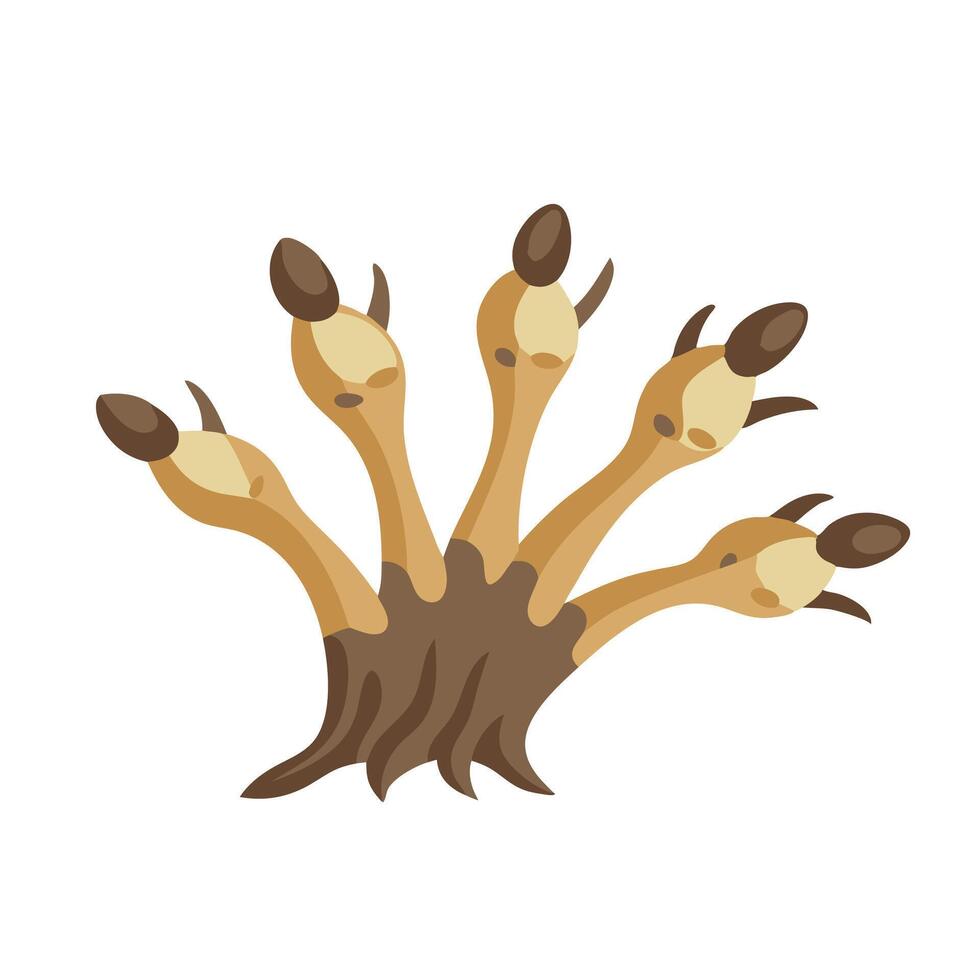 Dead Mans Fingers flat illustration on white background vector