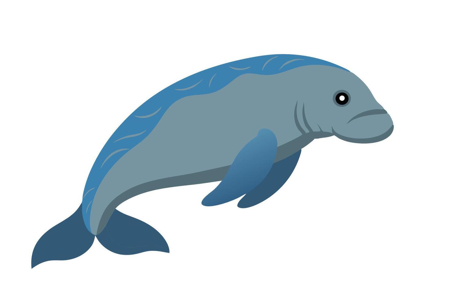 Dugong Under water animal flat illustration on white background vector