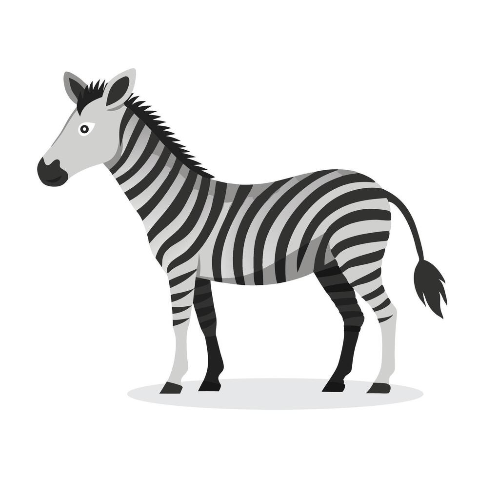 Grevy's Zebra animal isolated flat illustration on white background. vector