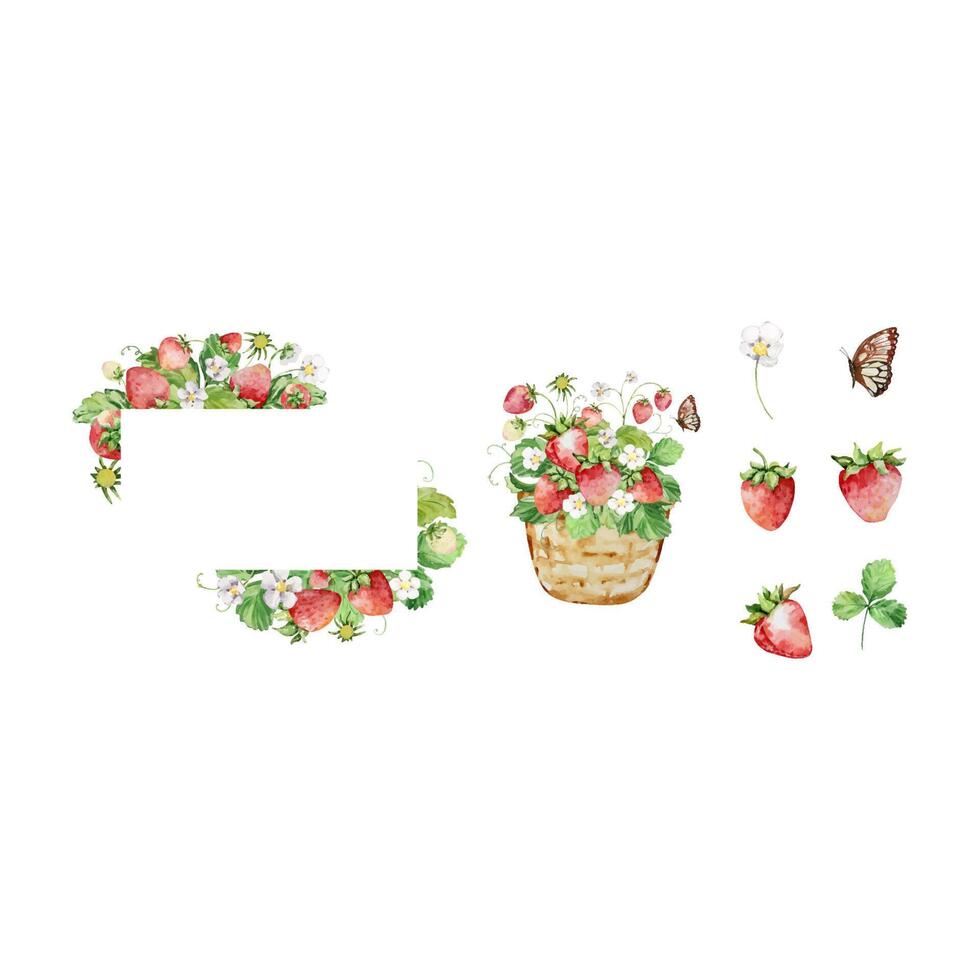Watercolor straberry, leaves and flowers set with frame vector