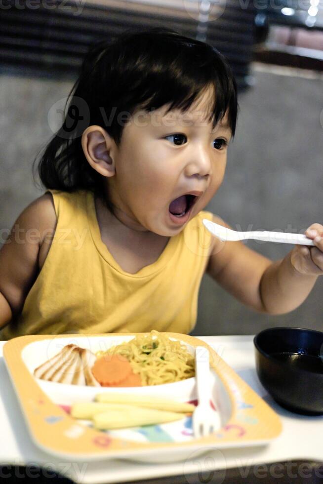 A Little Boy Eating Soup And Noodle photo