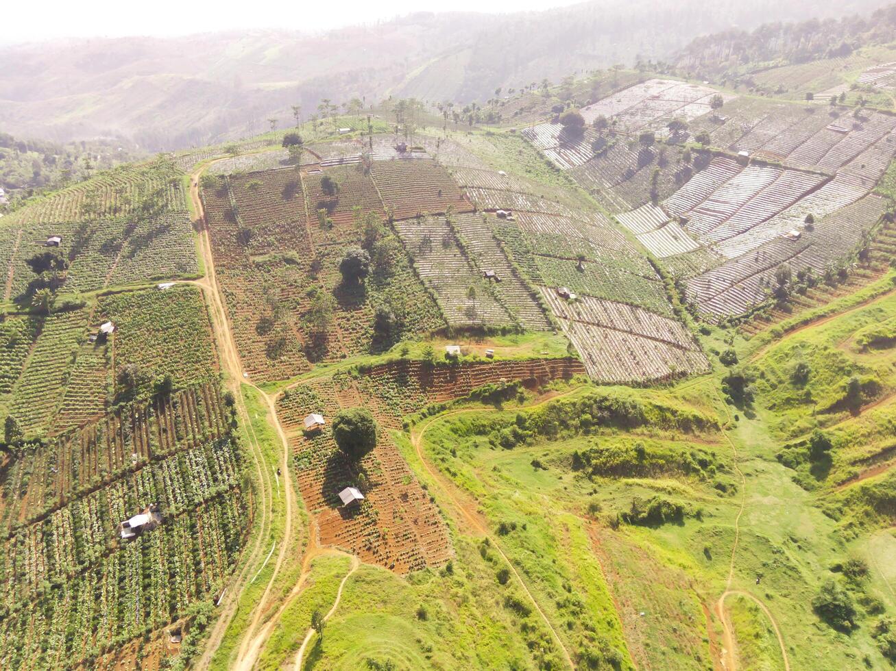 Panoramic Landscape of Vegetable Plantation along the Slopes of Mount Pangradinan - Indonesia. Agricultural Industry. Graphic Resources. Natural scenery. Wallpapers Backgrounds. Aerial Photography. photo