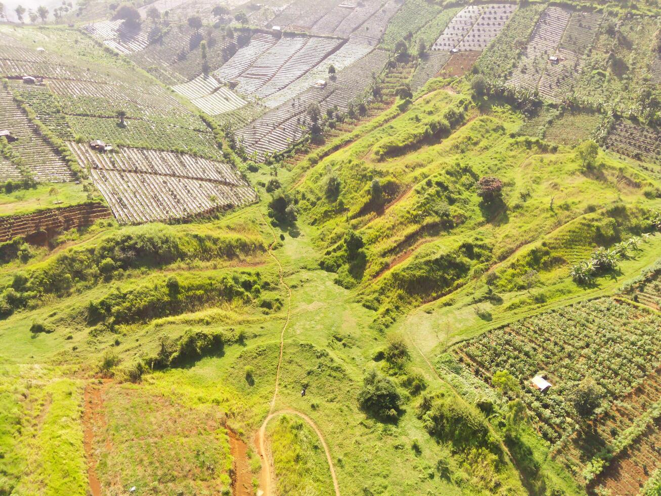 The slopes of Mount Pangradinan planted with vegetable plantations. Agricultural Industry. Graphic Resources. Natural scenery. Wallpapers Backgrounds. Aerial Photography Concept. photo