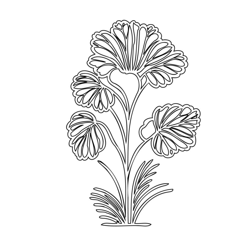 Geranium flower plant illustration sketch outline vector