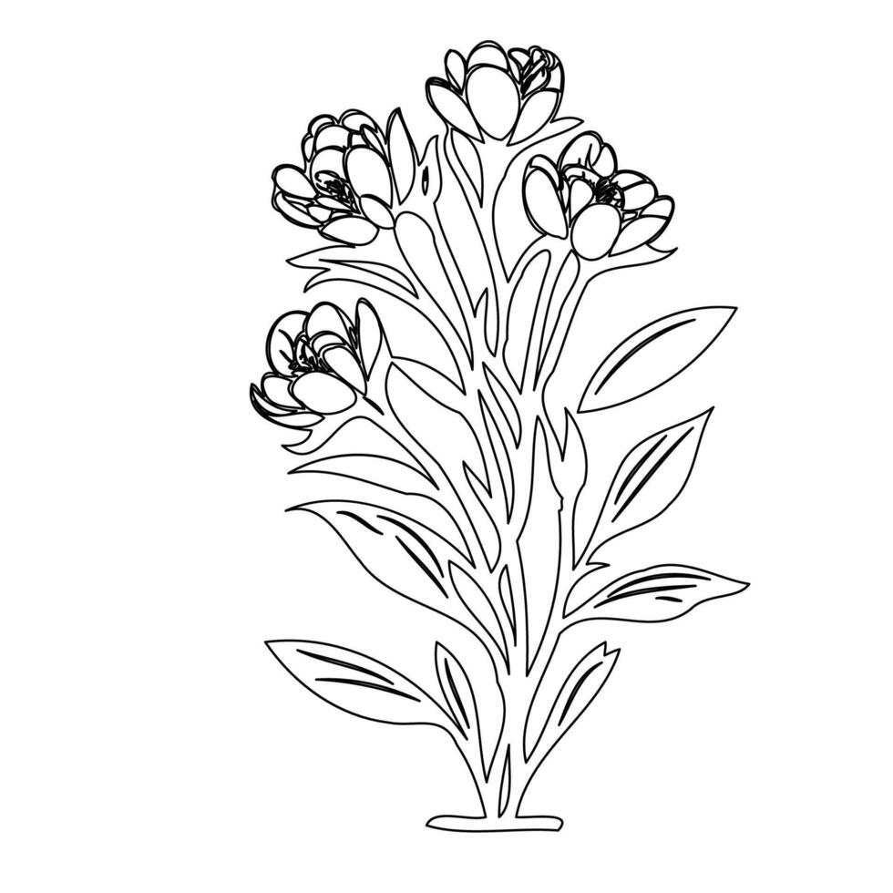 Freesia flower plant illustration sketch outline vector