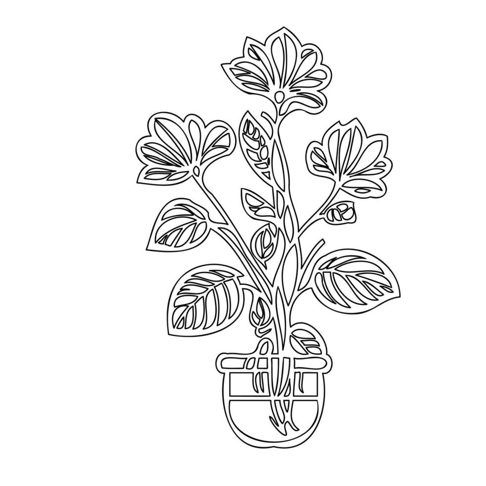 Geranium flower plant illustration sketch outline vector