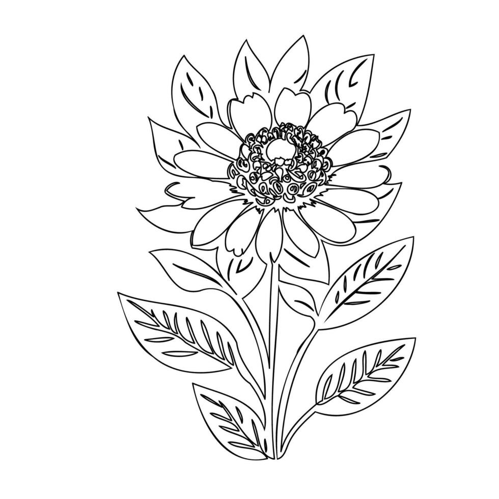 Zinnia flower plant illustration sketch outline vector