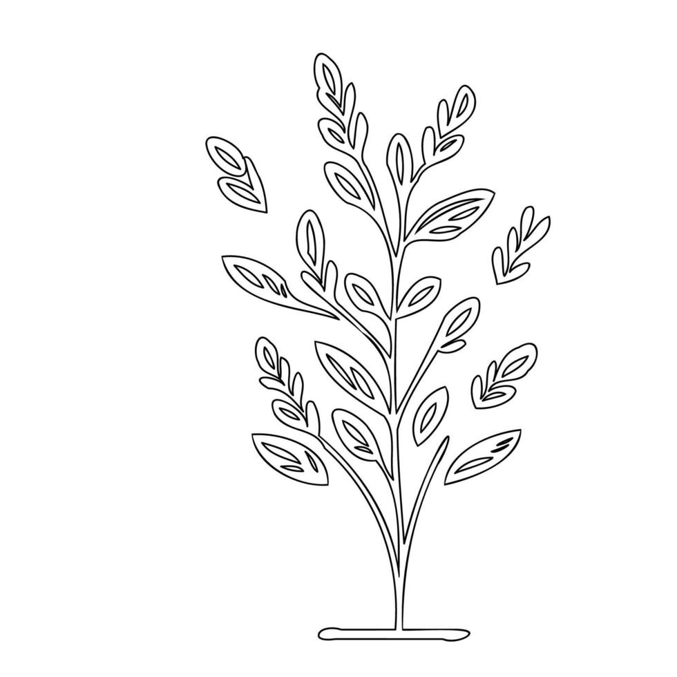 Lavender flower plant illustration sketch outline vector