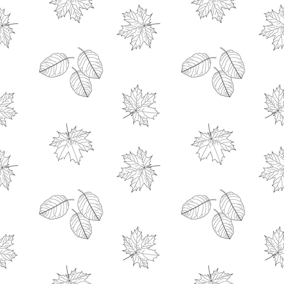 Delight in this seamless pattern of maple and other fall leaves. Perfect for coloring enthusiasts and creative projects. vector