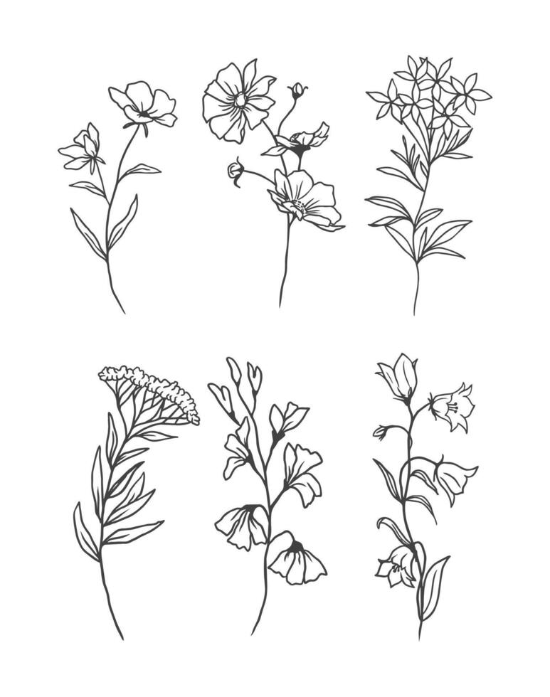 minimalistic leaf and flower illustration vector