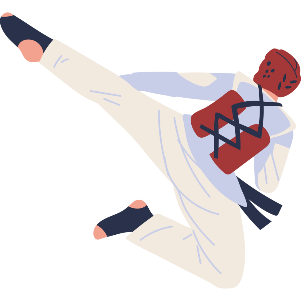 taekwondo fighter combat martial art png