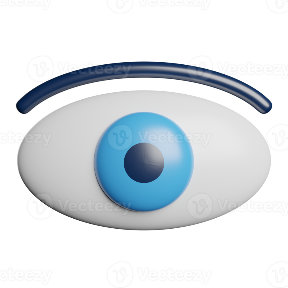 Vision Eye View png