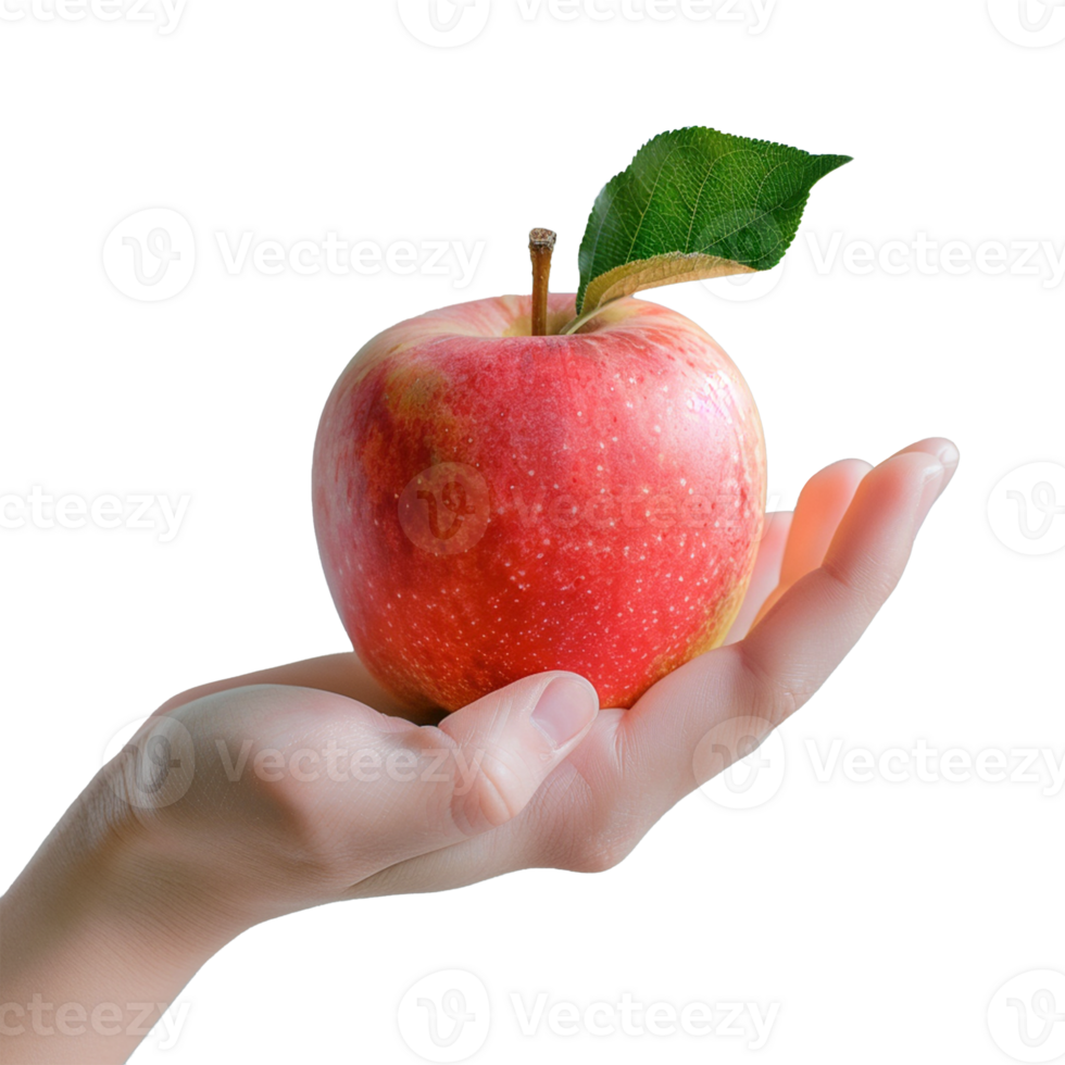 A hand holding apple isolated, realistic Ai image png