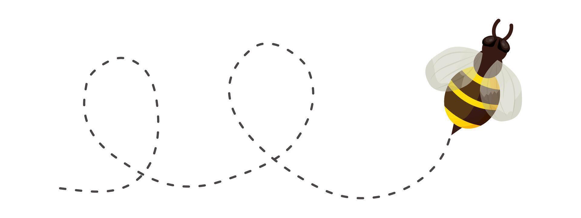 Bee flying doted path, line way. Bumblebee fly route journey for travel. Honey product design, Bee with cute wings. vector