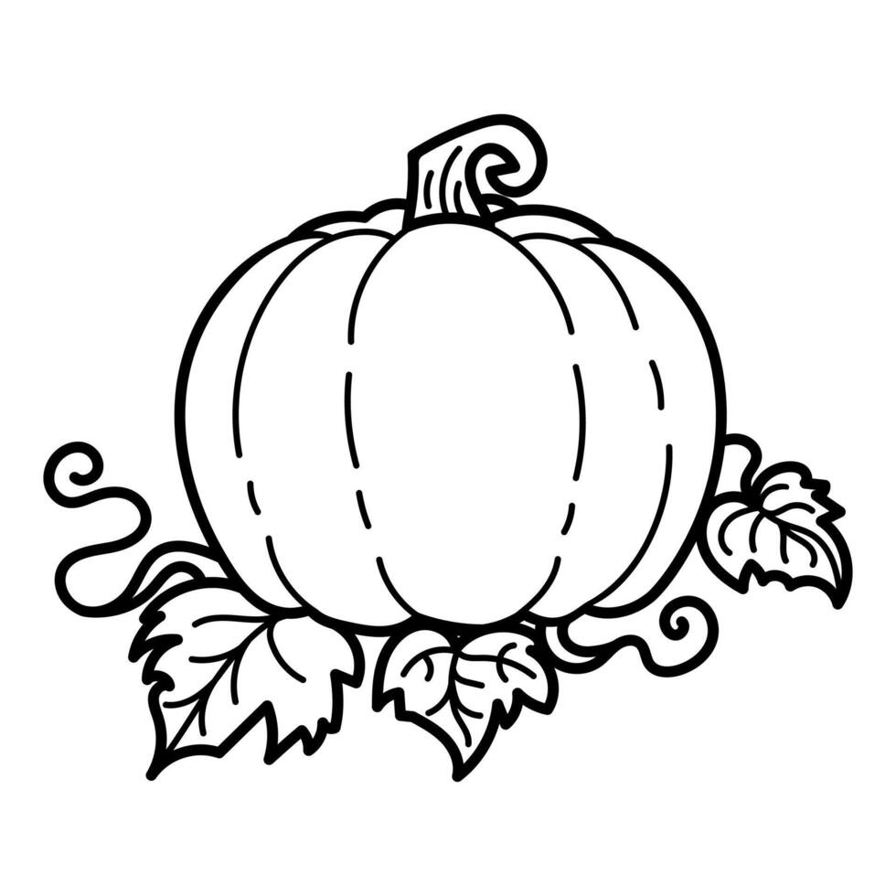Black and white illustration of a pumpkin with leaves, perfect for autumn or Halloween-themed designs vector
