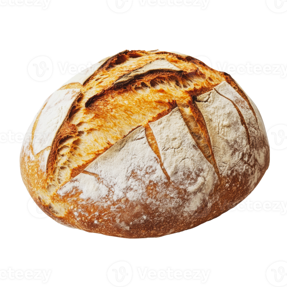 Freshly baked artisan bread from a local bakery png