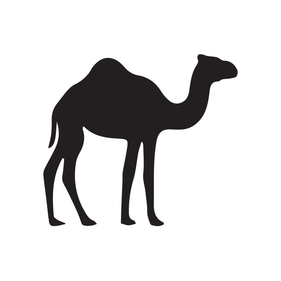 Camel Silhouette isolated on white background vector