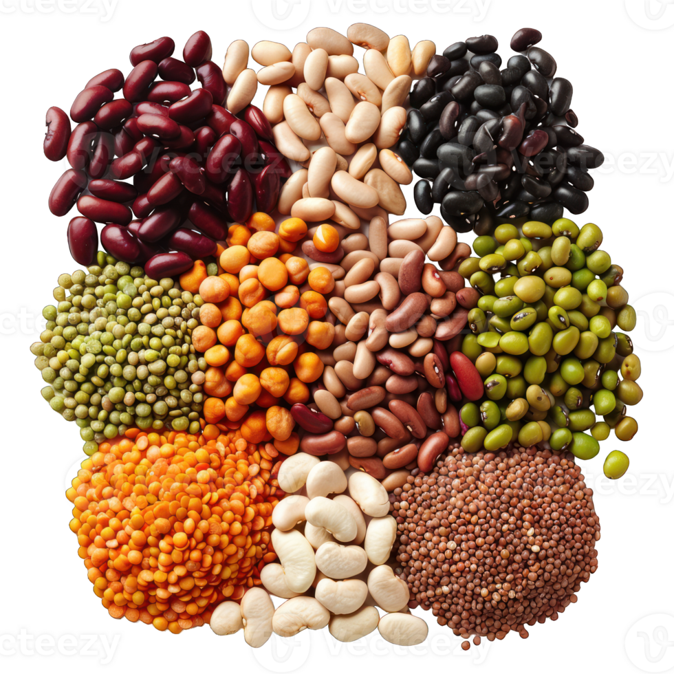 collection of different cereals transparent background png