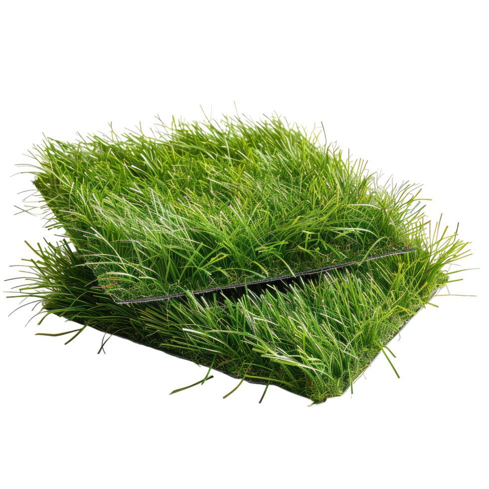 Grass Carpet Isolated on Transparent Background. png