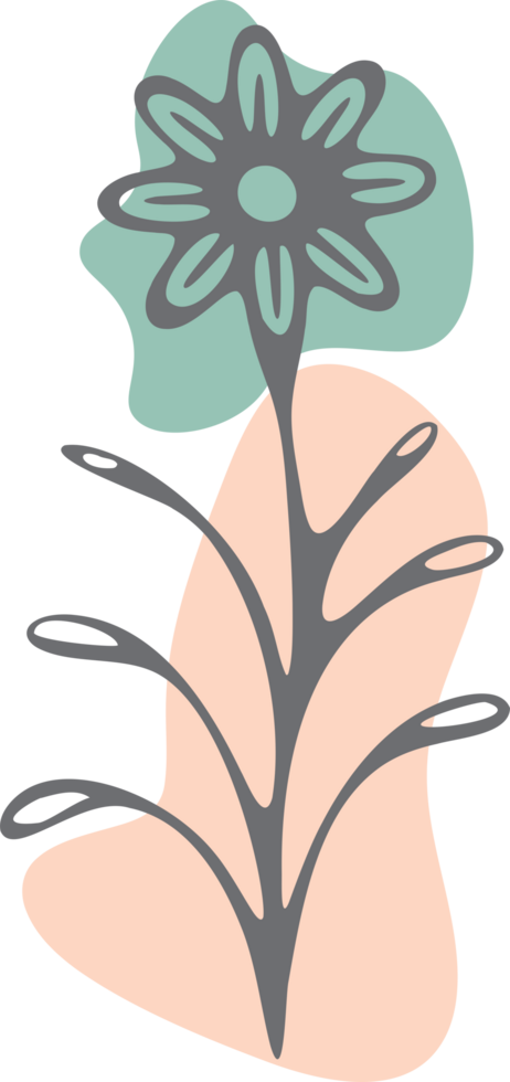Abstract aesthetic line art floral with color organic shapes png
