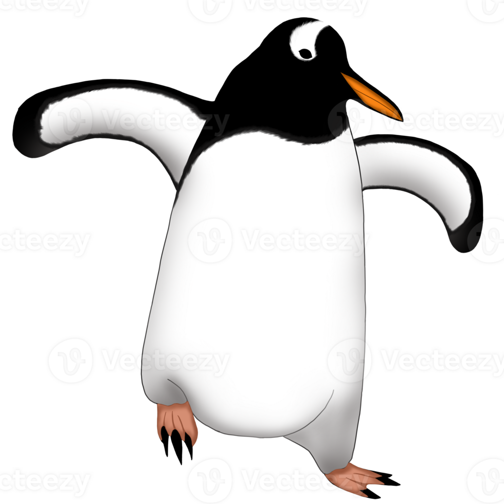 A comical penguin png