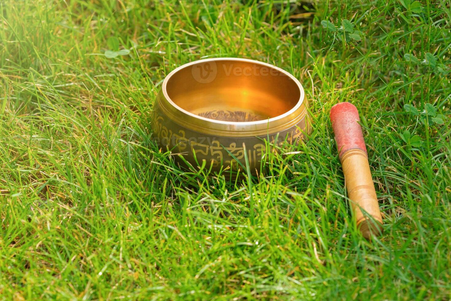 A Tibetan singing bowl stands in the thick green grass. photo