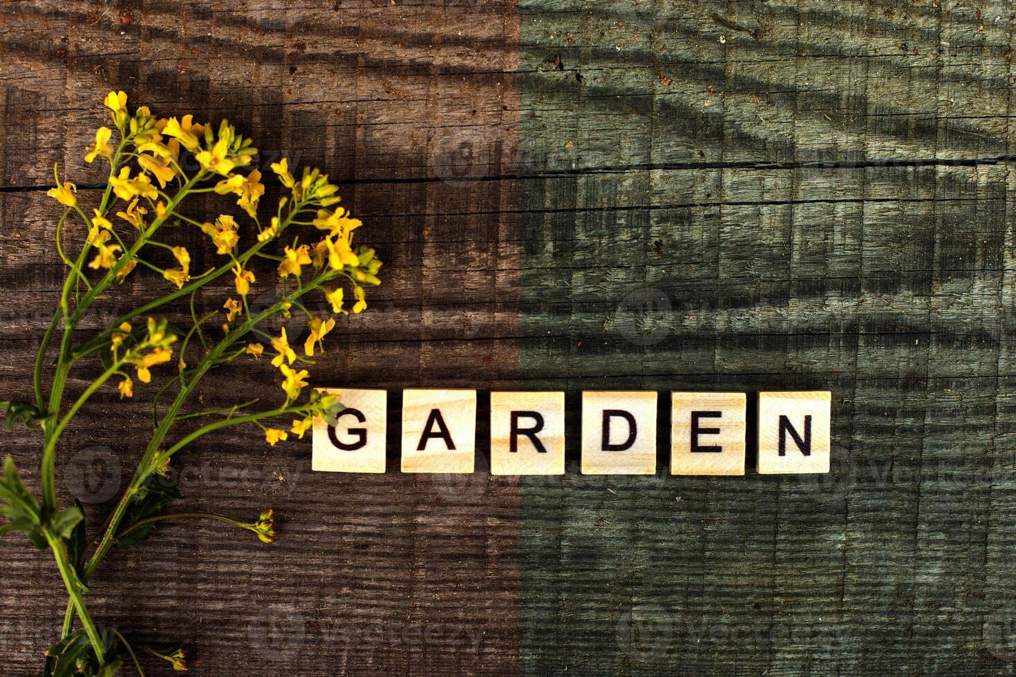 The inscription from wooden letters Garden on a wood background photo