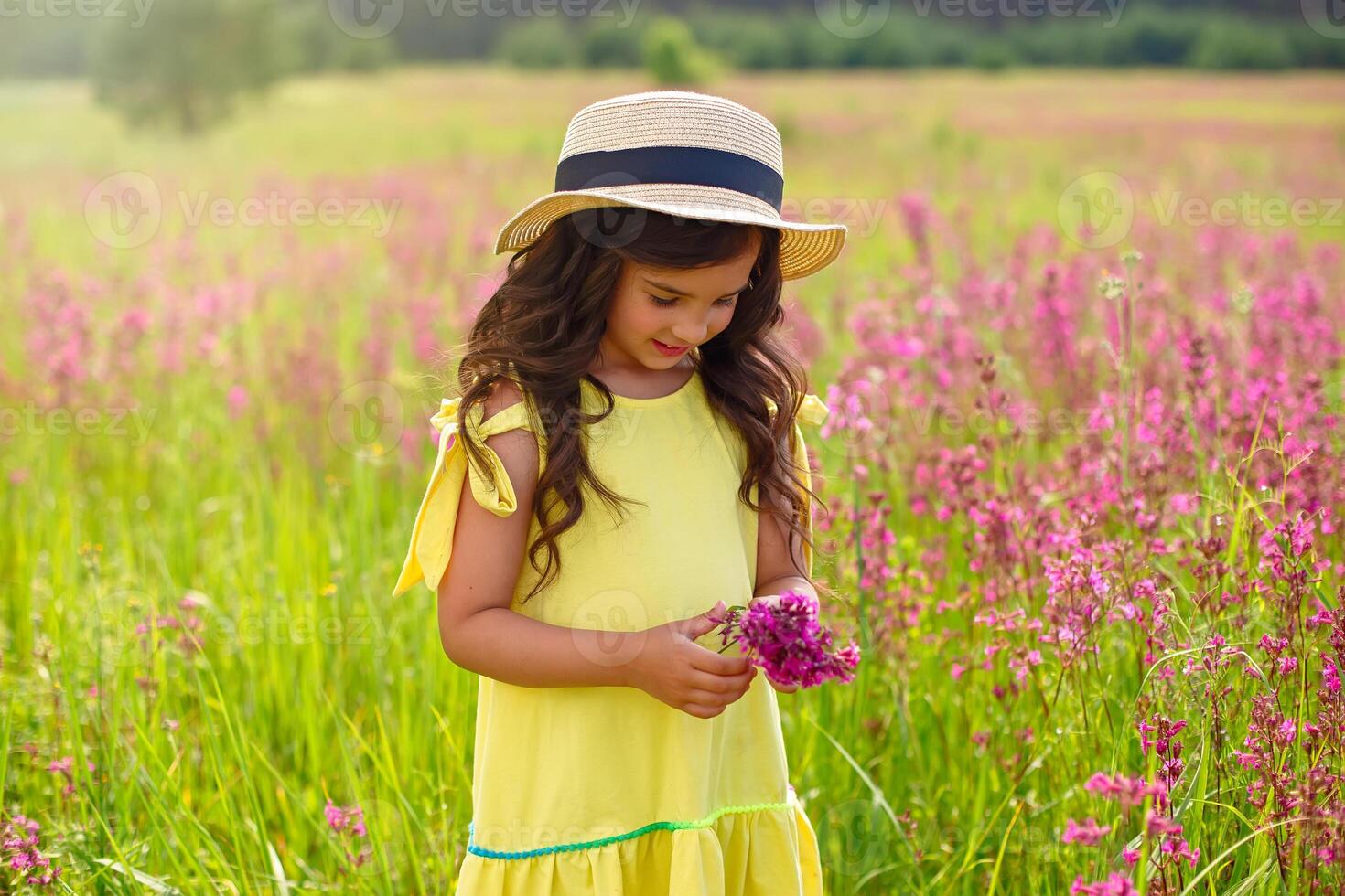 beautiful little girl walks in a flowering field, holds a bouquet of burgundy viscaria flowers photo