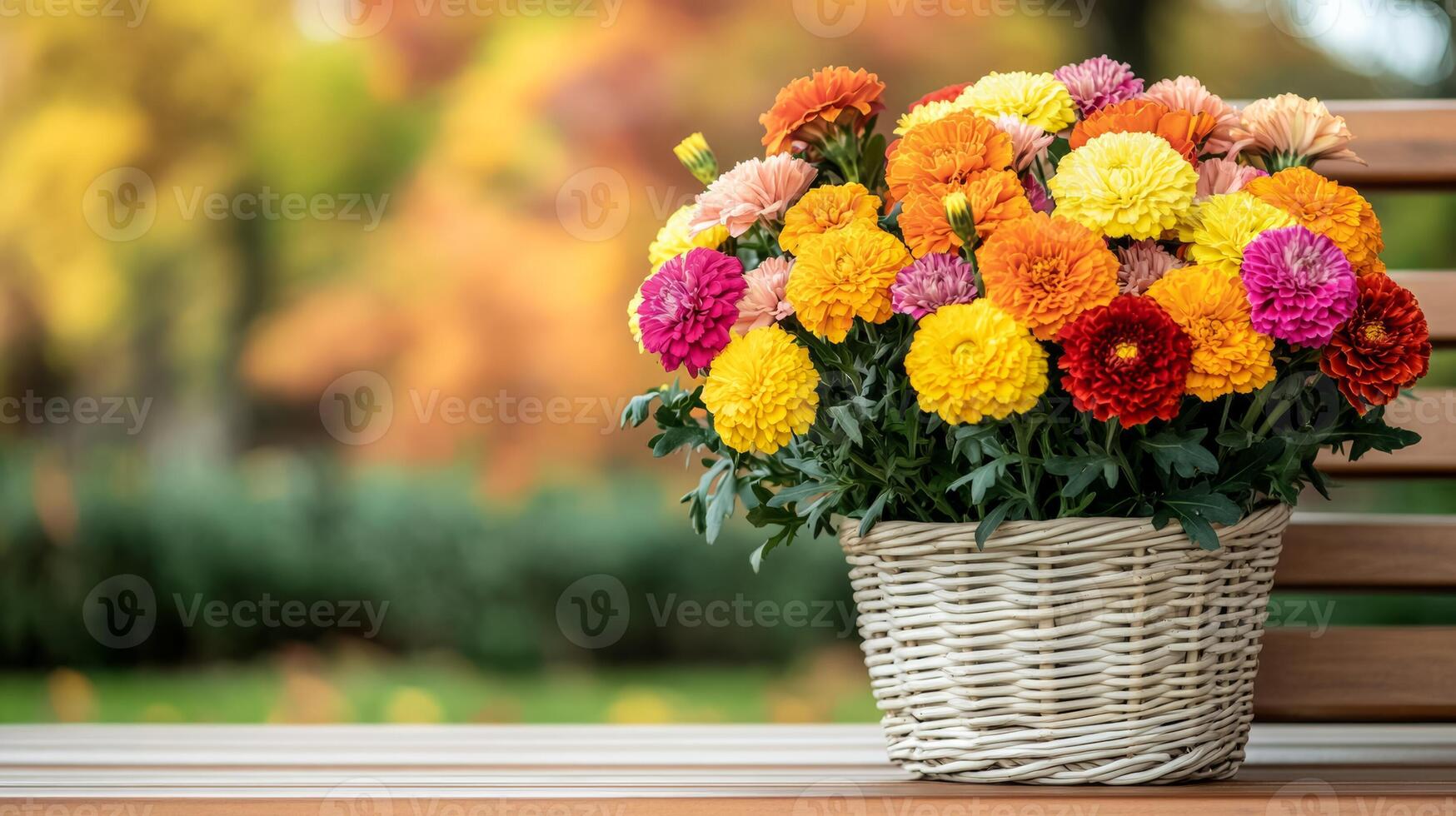 Side view of a wicker basket filled with a colorful assortment of autumn flowers including marigolds chrysanthemums and asters placed on a wooden bench with a background of fall trees photo