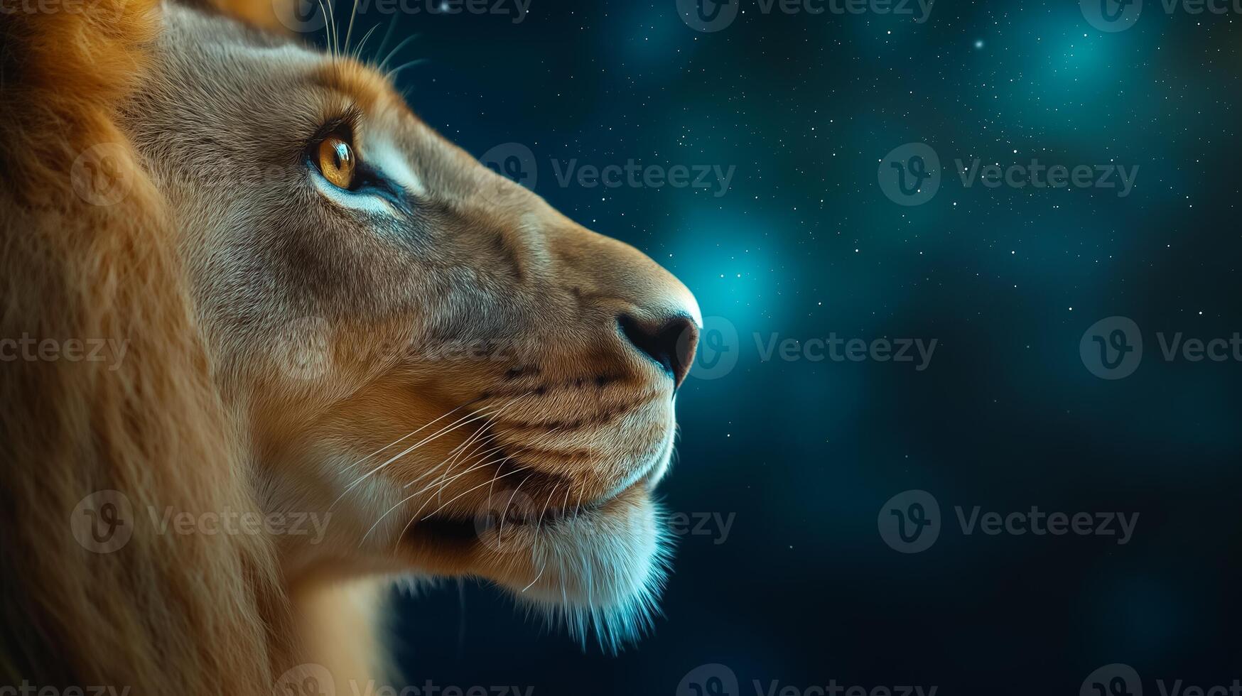 Close up of a lions profile with the Lions Gate portal reflected in its eye cosmic energy swirling around and the stars of Leo constellation faintly glowing in the background photo