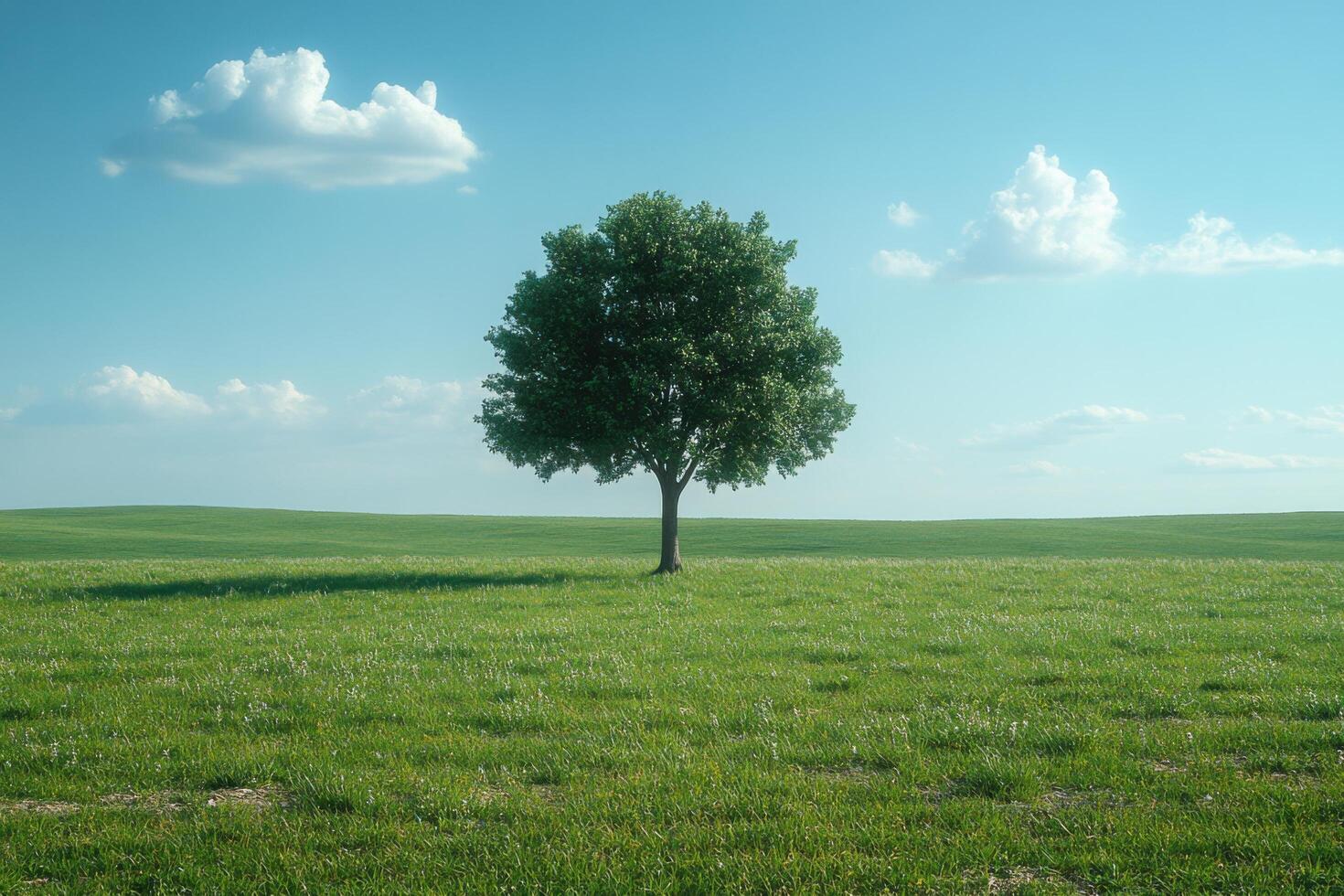 Solitary Tree in a Vast Green Field Under a Clear Blue Sky with Scattered White Clouds photo