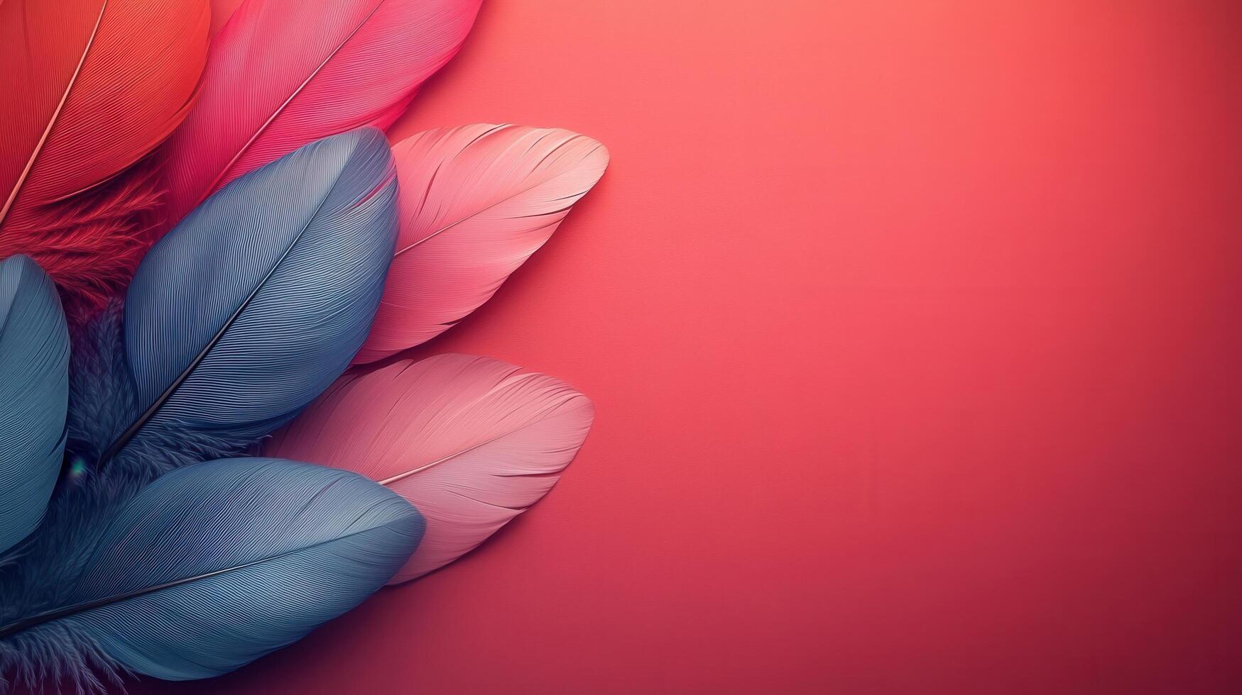 Colorful Feathers on Red Background with Copy Space for Text - Vibrant and Artistic Decorative Image photo