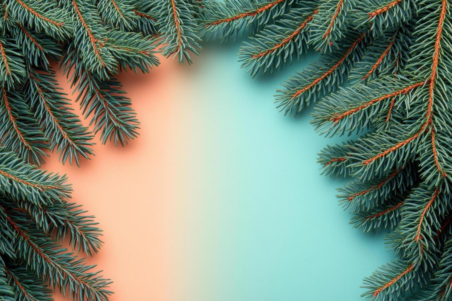 Vibrant Pine Branches on Colorful Gradient Background - Nature and Holiday Theme photo