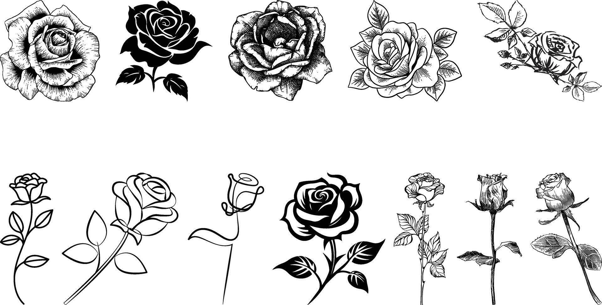 Set of rose collection vector