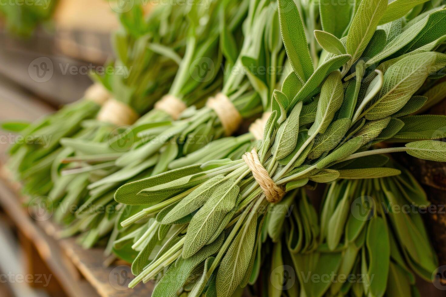 Freshly cut sage bundles tied with string lying on wooden surface photo