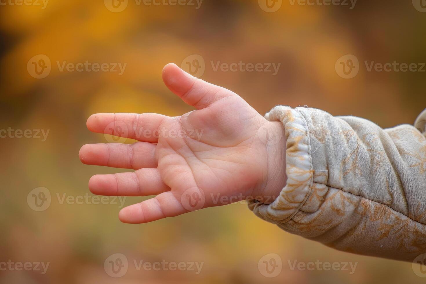 Toddler reaching out hand in autumn scene showing five fingers photo