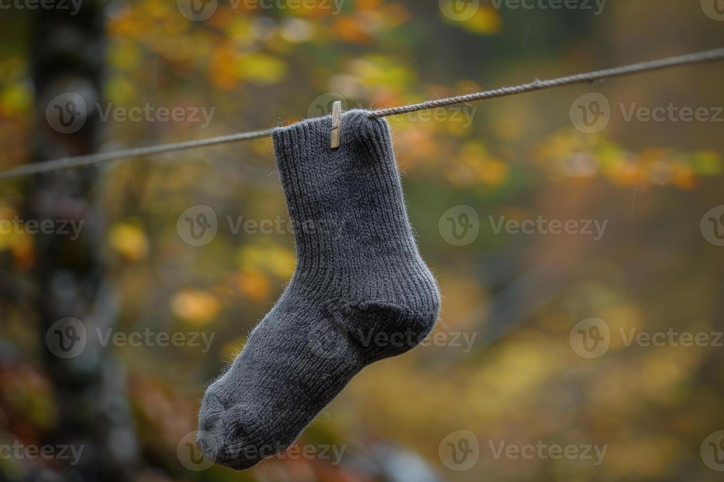 Grey wool sock drying on clothesline in autumn photo