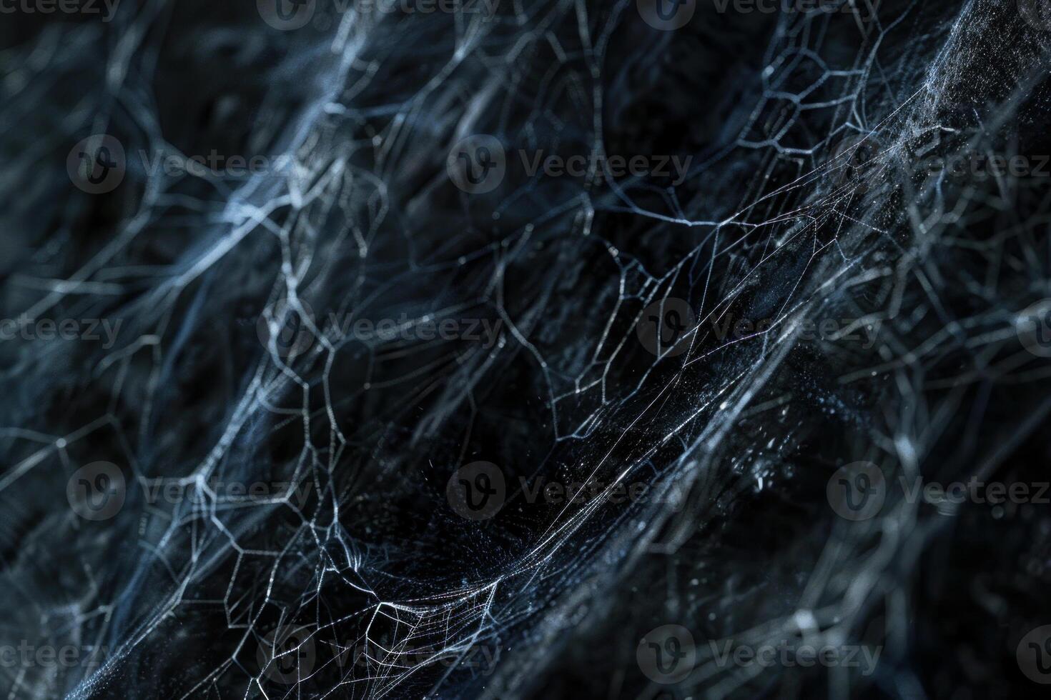 Spider web covered in dust particles creating an abstract pattern photo