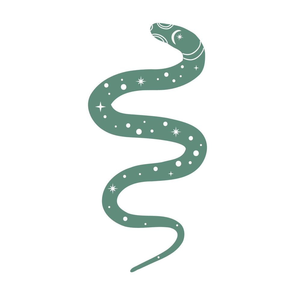 illustration of a snake. Isolated on a white background. vector