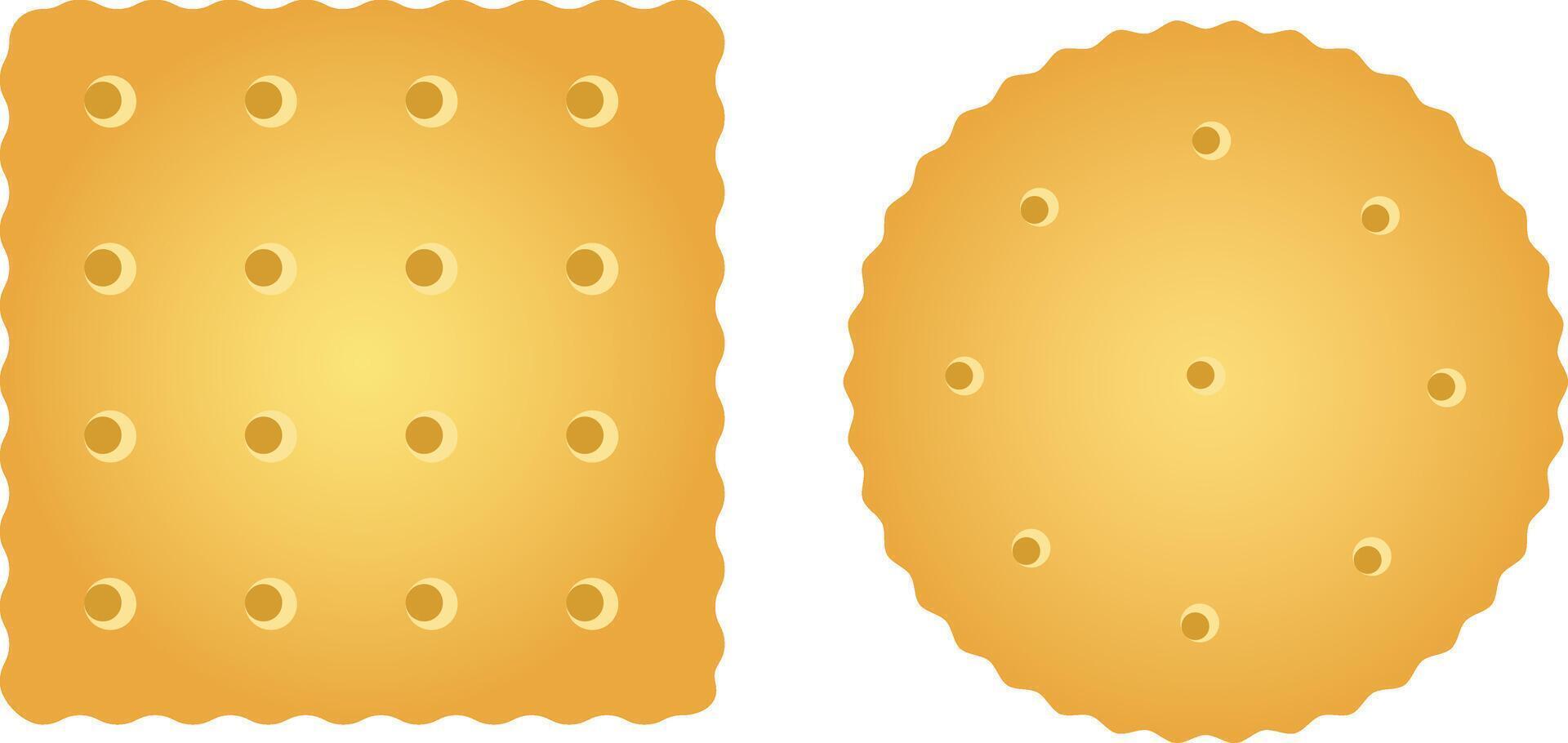 Square and Circle Biscuit Illustration vector