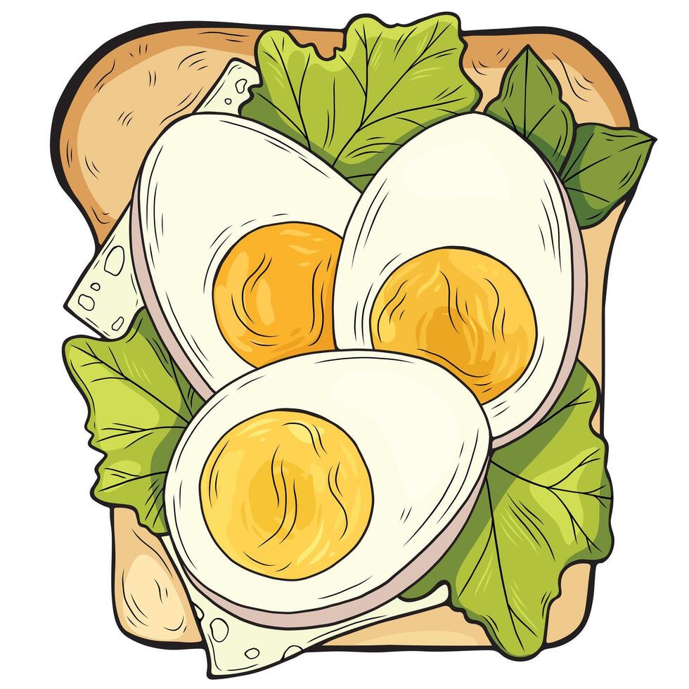 Egg sandwich with cheese and salad - food illustration for restaurant menu, packaging. Sliced boiled egg, green salad, basil leaves, cheddar slices on a toasted bread. Breakfast meal vector
