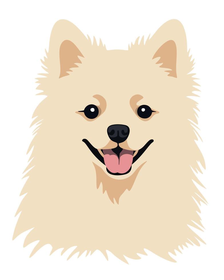 Cute spitz dog. isolated illustration vector