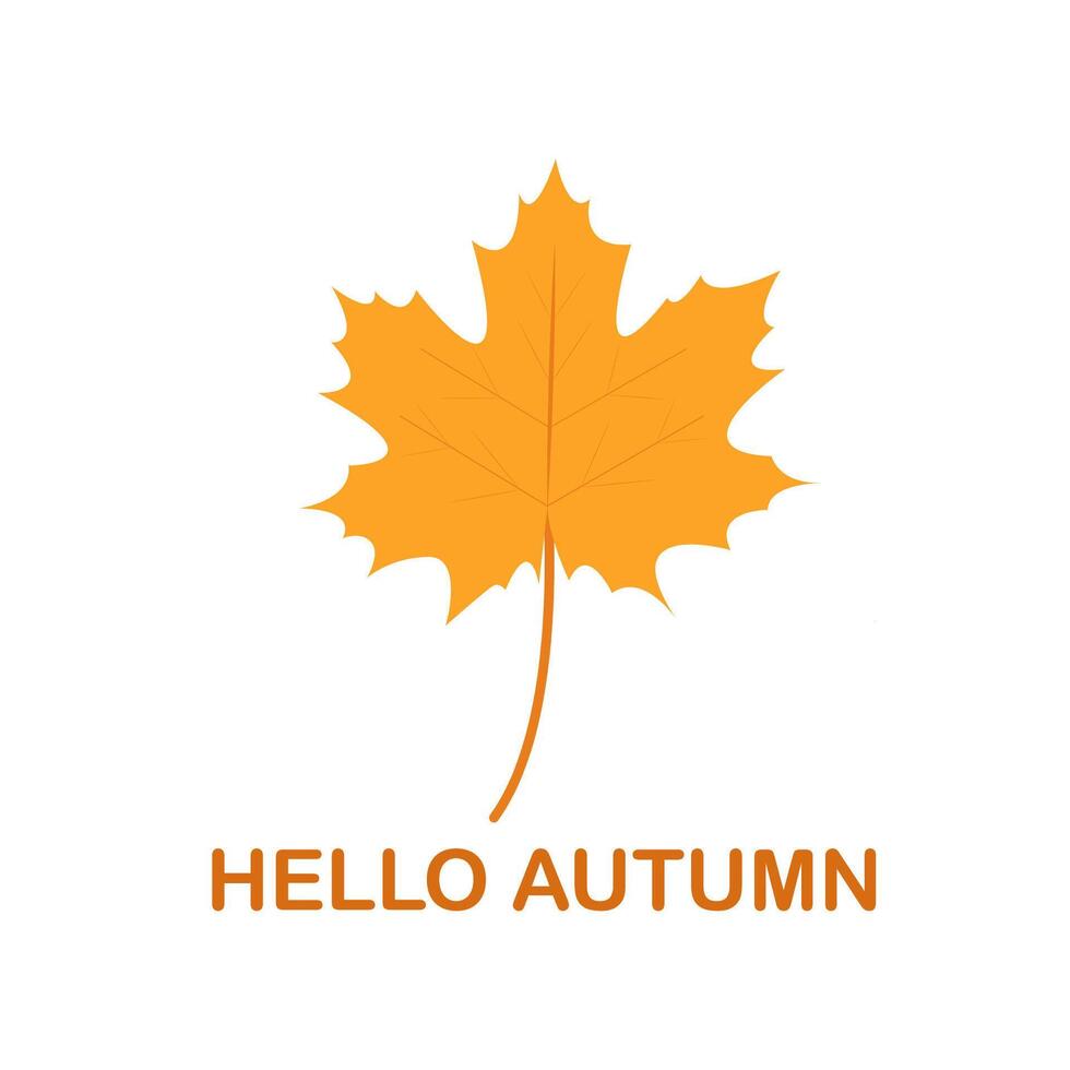 Hello autumn. Maple leaf. vector